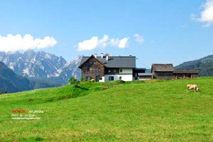 南昌市青山湖区